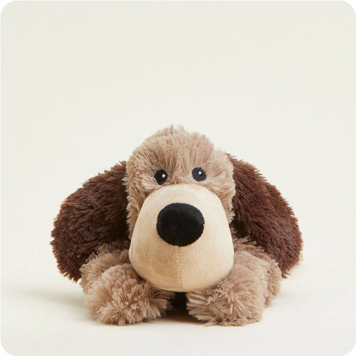 CP-DOG-1-Brown-Dog-01-Crop_83ff66c9-384c-45d4-924f-5fe677e5f039_jpg