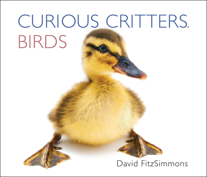 CURIOUS-CRITTERS-Birds-Cover-1k