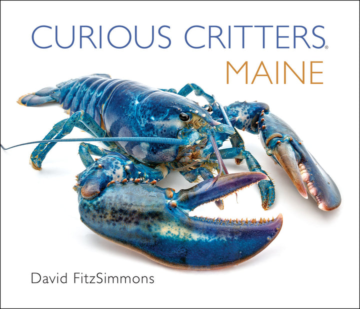 CURIOUS-CRITTERS-Maine-Cover-1k
