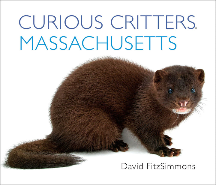 CURIOUS-CRITTERS-Massachusetts-Cover-1k