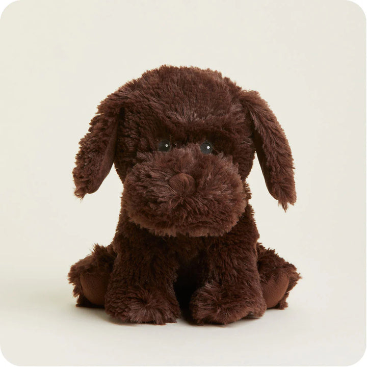 Dark-Brown-Dog2146_jpg