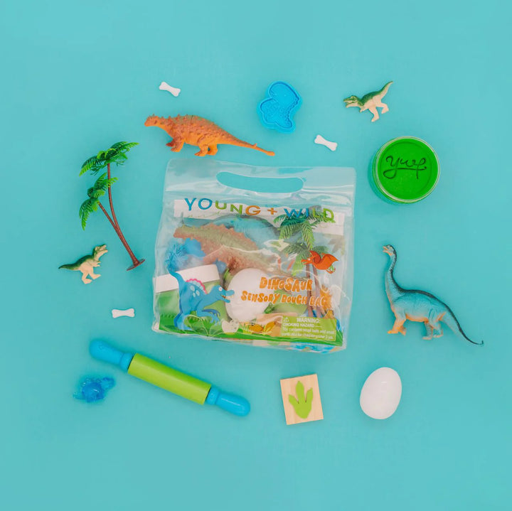 sensory-dough-bag-dinosaur-ws-dough-bag-young-wild-friedman-573018_jpg